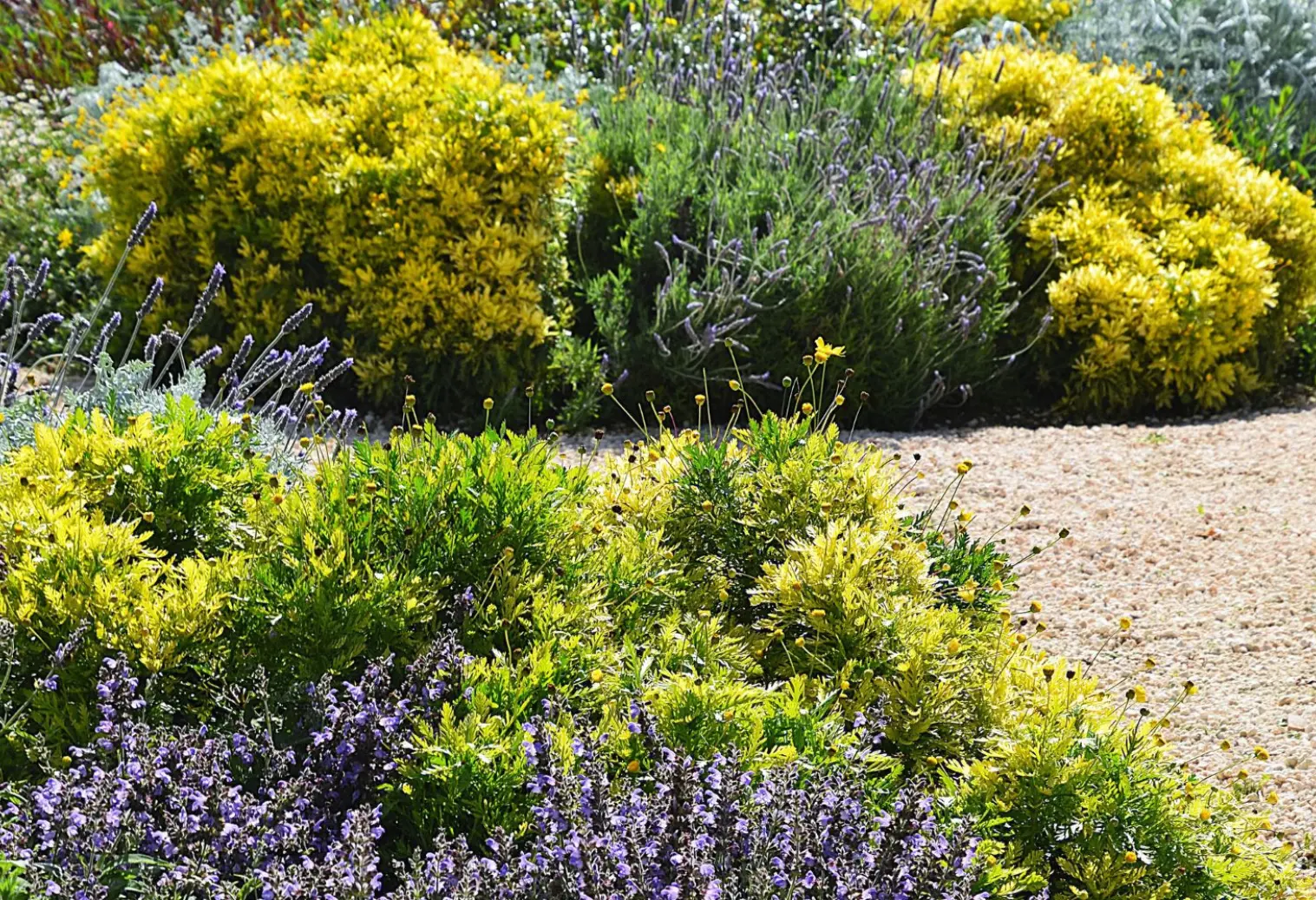 Llubí — Garden Design Llubí, Mallorca, Image 13